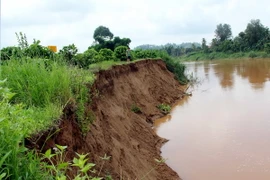 (Ảnh minh họa: Đặng Tuấn/TTXVN)