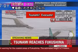 (Nguồn: NHK World Japan)