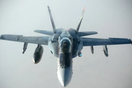 Máy bay chiến đấu F/A-18E Super Hornet tham gia chiến dịch không kích vào các mục tiêu của IS tại Syria và Iraq. (Nguồn: AFP/TTXVN)