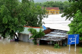 Hàng trăm nhà dân, trường học ở xã An Định (huyện Tuy An, Phú Yên) bị ngập trong nước. (Ảnh: Thế Lập/TTXVN)