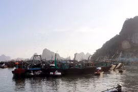 Tàu thuyền neo đậu tại cảng Cái Rồng, Quảng Ninh. (Ảnh minh họa: Văn Đức/TTXVN)