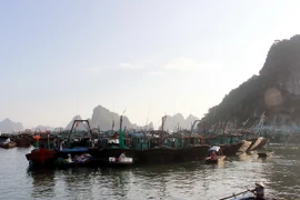 Tàu thuyền neo đậu tại cảng Cái Rồng, Quảng Ninh. (Ảnh minh họa: Văn Đức/TTXVN)