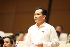 Đại biểu Quốc hội tỉnh Thanh Hóa Bùi Sỹ Lợi. (Ảnh: Phương Hoa/TTXVN)