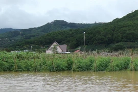 Vườn rau màu đang thu hoạch của người dân huyện Đơn Dương chìm trong nước lũ. (Ảnh: Nguyễn Dũng/TTXVN)