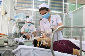 (Ảnh minh họa: Đinh Hằng/TTXVN)