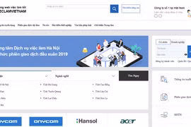 Cổng thông tin dịch vụ việc làm ESIP. (Ảnh: PV/Vietnam+)