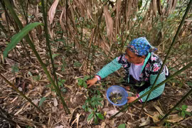 Chuẩn nghèo đa chiều là cơ sở cho việc đưa ra các chính sách, cơ chế, giải pháp thực hiện mục tiêu giảm nghèo bao trùm, bền vững. (Ảnh minh họa: Phan Tuấn Anh/TTXVN)