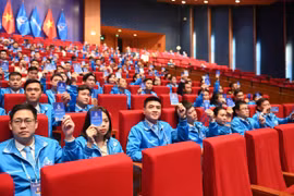 Các đại biểu biểu quyết tại đại hội. (Ảnh: PV/Vietnam+)