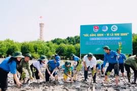 Trong tháng Ba tới, Trung ương Đoàn và Đoàn thanh niên các địa phương trên cả nước sẽ tổ chức nhiều hoạt động sôi nổi để hưởng ứng Tháng Thanh niên. (Ảnh minh họa: TTXVN)