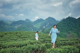 [Photo] Thiên nhiên tươi mát và bình yên ở bản người Thái