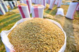 Ảnh minh họa. (Nguồn: Khmer Times)