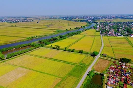 Ảnh minh họa. (Nguồn: TTXVN)