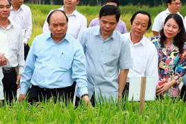 Thủ tướng Nguyễn Xuân Phúc thăm ruộng khảo nghiệm tại Tập đoàn Lộc Trời. (Ảnh: Thống Nhất/TTXVN)