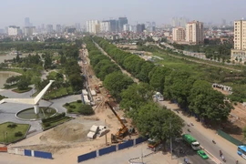 Sở Xây dựng Hà Nội: Việc giải tỏa cây xanh mới chỉ là đề xuất