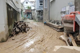 Bùn đất từ trên đồi khu vực thi công dự án FLC tràn xuống các hộ dân khu 7A và 7B. (Ảnh: Trung Nguyên/TTXVN)