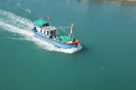 Ảnh minh họa. (Nguồn: TTXVN)