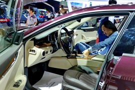 Ảnh minh họa. (Nguồn: TTXVN)