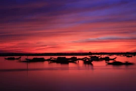 Đầm Quảng Lợi cách thành phố Huế về phía bắc chừng 30km, thuộc xã Quảng Lợi (Quảng Điền, Thừa Thiên-Huế).