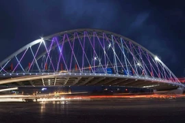 Cây vầu vòm thép khổng lồ tại nút giao quan trọng giữa đường Nguyễn Bình Khiêm và Lê Hồng Phong, Hải Phòng. (Nguồn: TTXVN phát)