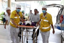 Ảnh minh họa. (Nguồn: TTXVN)