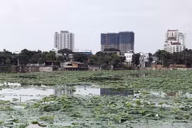 Hà Nội làm rõ sai phạm sử dụng đất, trật tự xây dựng tại hồ Đầm Trị