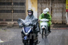 Ảnh minh họa. (Nguồn: Vietnam+)