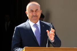 Ngoại trưởng Thổ Nhĩ Kỳ Mevlut Cavusoglu trong cuộc họp báo ở Nicosia, Cyprus ngày 1/6. (Nguồn: EPA/TTXVN)