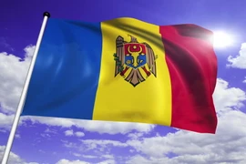 Ảnh minh họa. (Nguồn: ShutterStock)