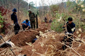 Công tác quy tập hài cốt liệt sỹ trên vùng đất bạn Campuchia. (Ảnh: Dương Chí Tưởng/TTXVN)