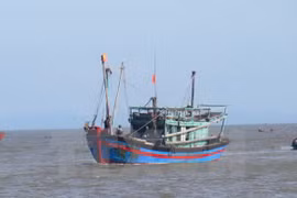 Tàu cá Bình Định bị tàu nước ngoài đâm chìm, một người tử vong