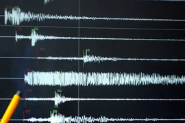 Ảnh minh họa. (Nguồn: AFP)