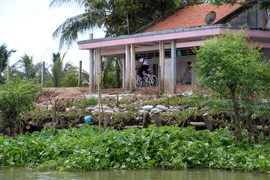 Sạt lở bờ bao đường dân sinh nên người dân phải đi tạm “đường” bên trong nhà một hộ dân trên cồn Phú Bình. (Ảnh: Trần Thị Thu Hiền/TTXVN)