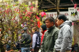 Ảnh minh họa. (Nguồn: TTXVN)