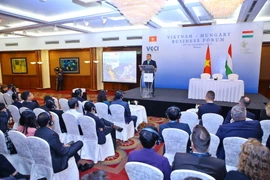 Quang cảnh Diễn đàn doanh nghiệp Việt Nam-Hungary. (Ảnh: Minh Quyết/TTXVN)