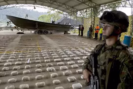 Colombia thu giữ hơn 1 tấn cocaine vận chuyển đến Trung Mỹ