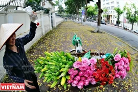 Không khí thoáng mát, nắng nóng chấm dứt ở Bắc Bộ và Trung Bộ