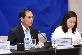 Chủ tịch SOM APEC 2017 Bùi Thanh Sơn phát biểu. (Ảnh: Doãn Tấn/TTXVN)