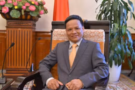 Đại sứ Nguyễn Hồng Thao. (Ảnh: TTXVN/phát)