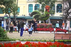 Những bạn trẻ ngang nhiên dẫm lên bãi cỏ chỉ để chụp ảnh tại khu vực bờ hồ Hoàn Kiếm. (Ảnh: Minh Quyết/TTXVN)
