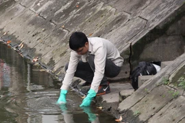 Cán bộ Trung tâm Quan trắc môi trường tỉnh lấy mẫu nước sông xét nghiệm, tìm nguyên nhân cá chết. (Ảnh: Thu Hoài/TTXVN)