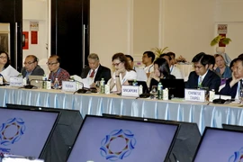 Đại diện các nền kinh tế tham dự buổi họp thường niên. (Ảnh: Thế Anh/TTXVN)