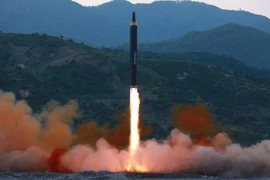 Ảnh minh họa. (Nguồn: Reuters)