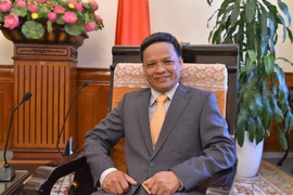 Đại sứ Nguyễn Hồng Thao. (Ảnh: TTXVN/phát)