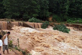 Ảnh minh họa. (Nguồn: TTXVN)