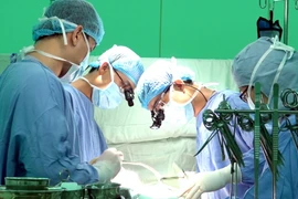 Ảnh minh họa. (Nguồn: TTXVN)