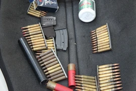 Ảnh minh họa. (Nguồn: TTXVN)