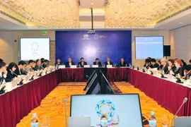 Họp Cơ quan hỗ trợ nghiên cứu chính sách (PSU) của APEC. (Ảnh: Nguyễn Khang/TTXVN)