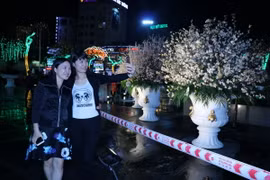 Người dân thàn phố Hải Phòng chụp ảnh lưu niệm với hoa Anh đào tại triển lãm. (Ảnh: Minh Thu/TTXVN)