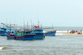 Ảnh minh họa. (Nguồn: TTXVN)