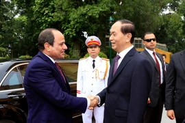 Chủ tịch nước Trần Đại Quang đón Tổng thống Abdel Fattah el-Sisi. (Ảnh: Nhan Sáng/TTXVN)